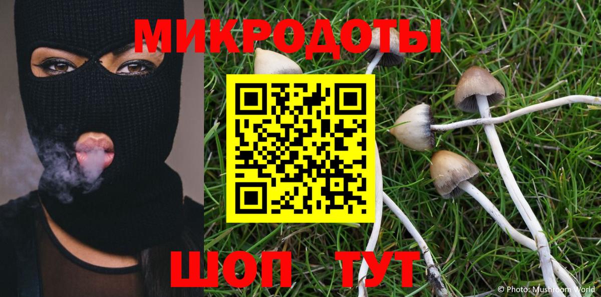 Псилоцибиновые грибы Psilocybine cubensis Ртищево